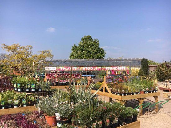 Paddock Farm Nursery & Water Gardens